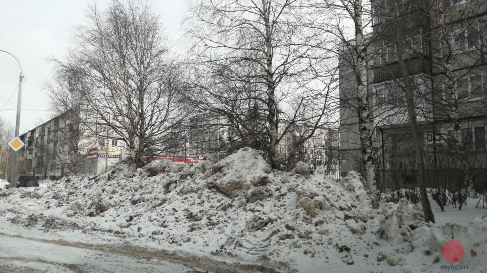 В Северодвинске снег с проезжей части свалили прямо на деревья